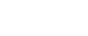 seyfer automotive logo 01