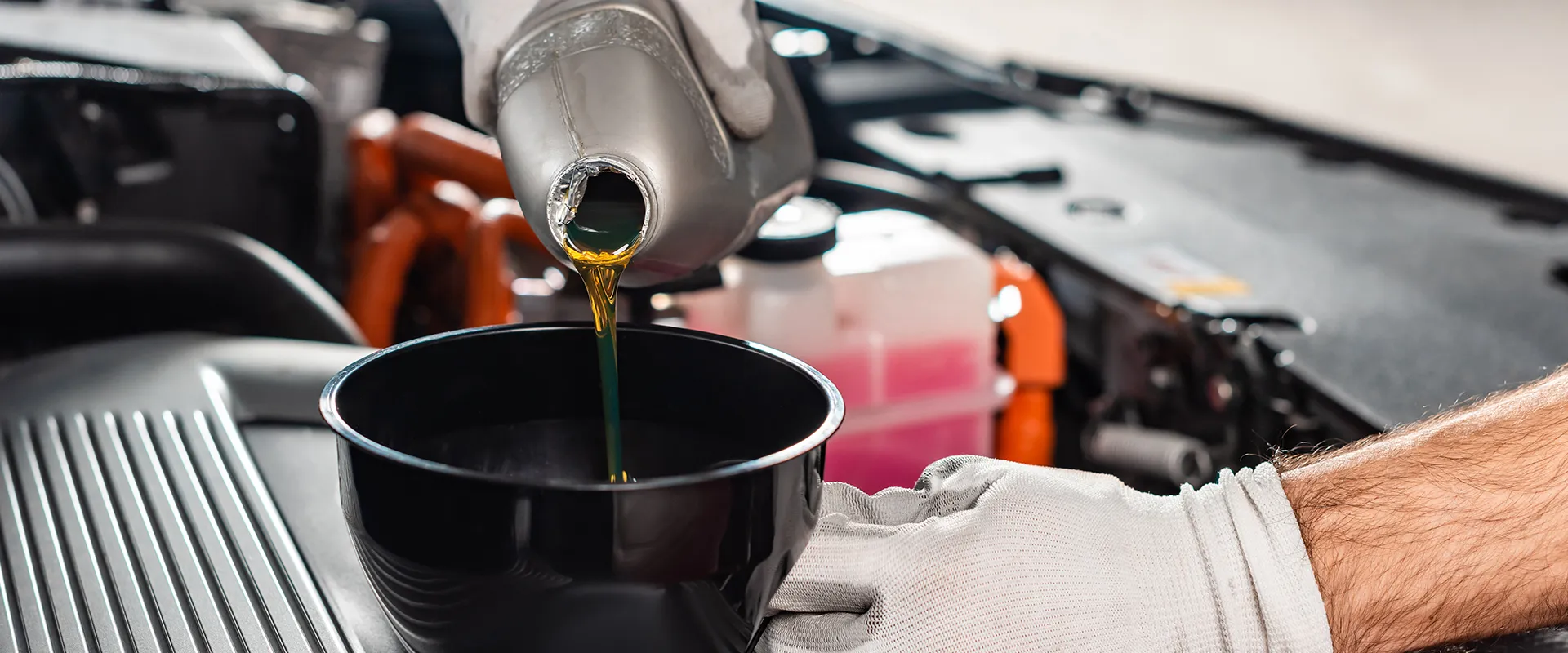 Oil Change near Wheat Ridge, CO